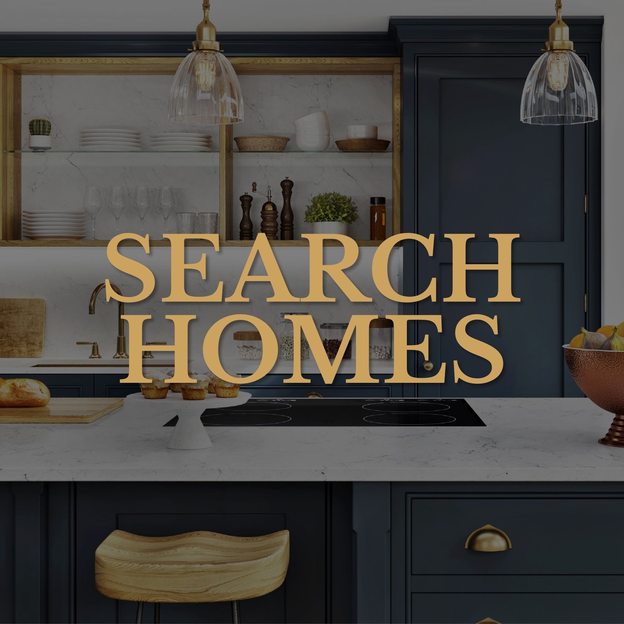 Search homes (1)